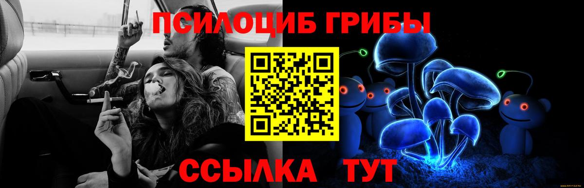 Йошкар-Ола  Псилоцибиновые грибы MAGIC MUSHROOMS  Вход с VPN  Псилоцибиновые грибы мухоморы 